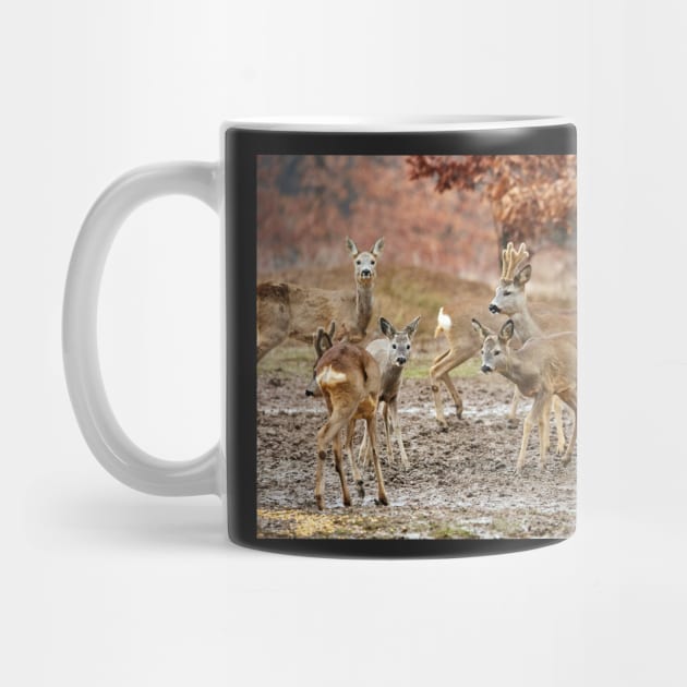 Roe deer family by naturalis